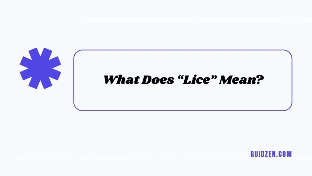 lice or dandruff