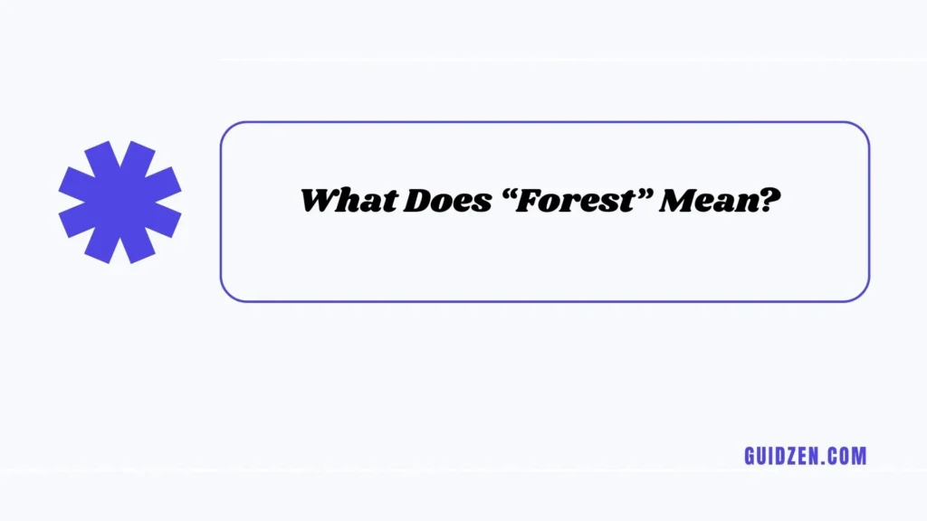 forrest or forest