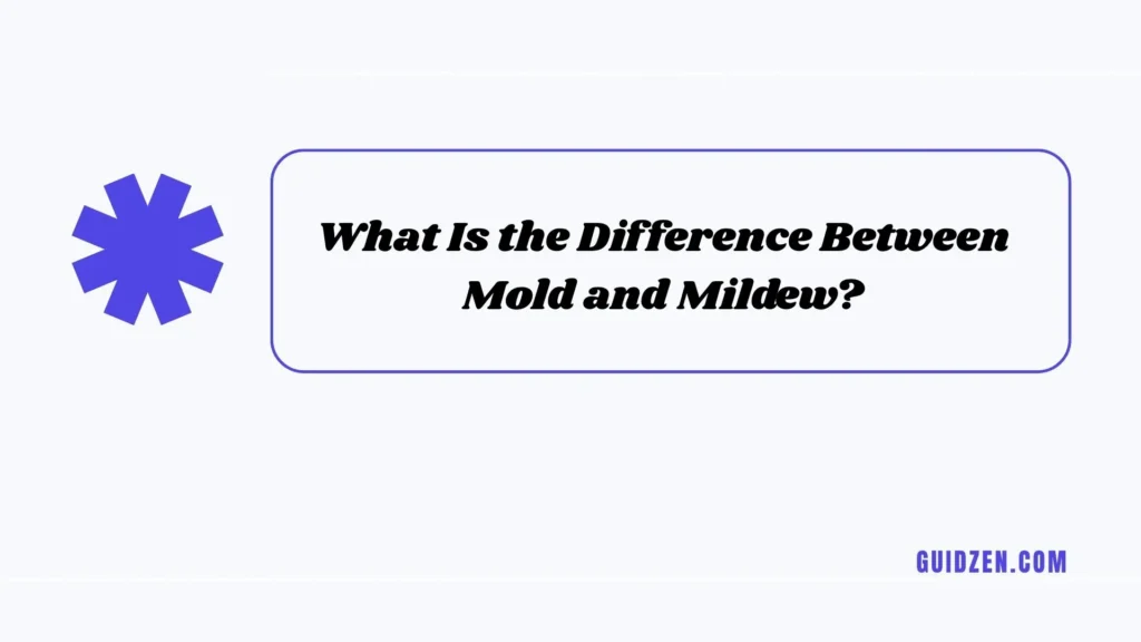 mold or mildew in shower